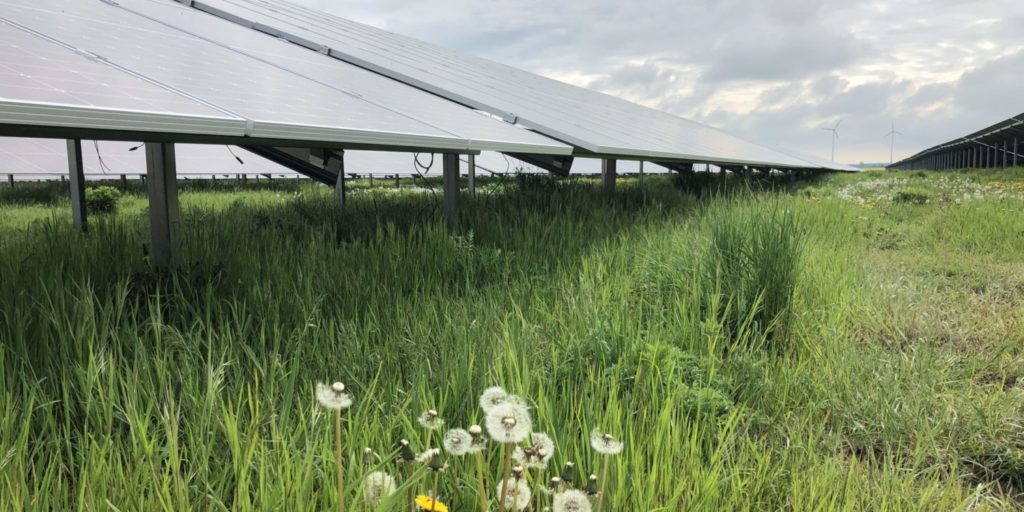 Bundesamt für Naturschutz: Wo Photovoltaik-Anlagen gebaut werden sollten und wo nicht