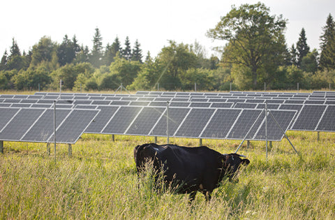 Do solar panels heat and dry the ground